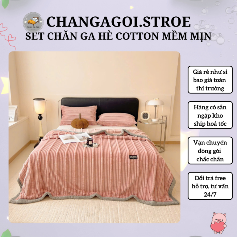 chăn tuyết sữa thế hệ mới thoải mái